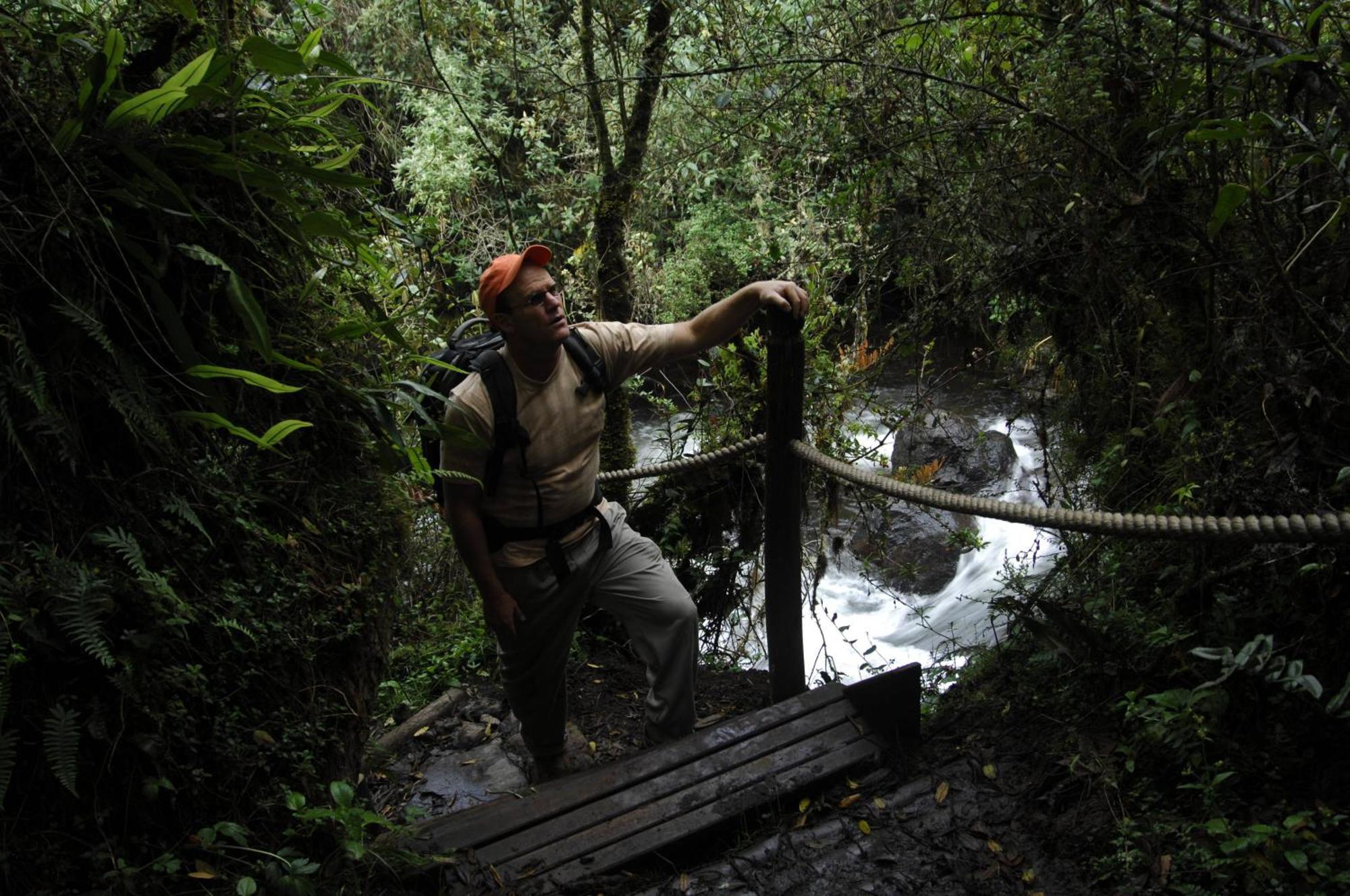 테르마스 데 파팔락타 호텔 파파약타 외부 사진 A bridge in the rainforest
